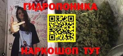 стаф Бугуруслан