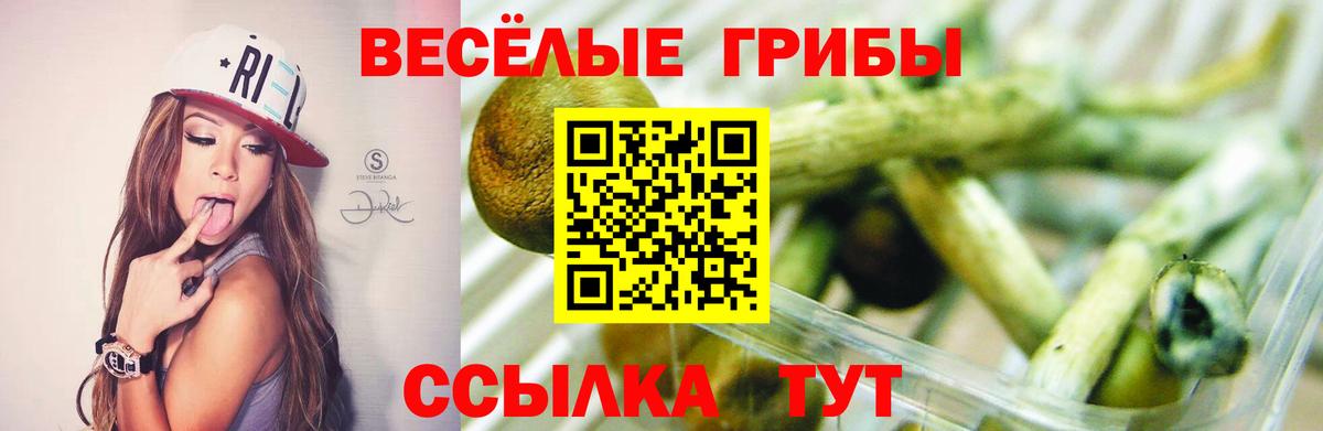 Тавда  Псилоцибиновые грибы Cubensis  Галлюциногенные грибы GOLDEN TEACHER  Вход с VPN 